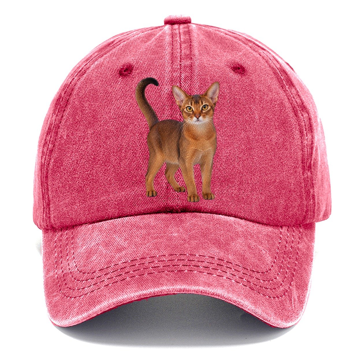 Abyssinian Standing Three Quarter Realistic Cat Portrait Classic Cap – Pomegranate Blush