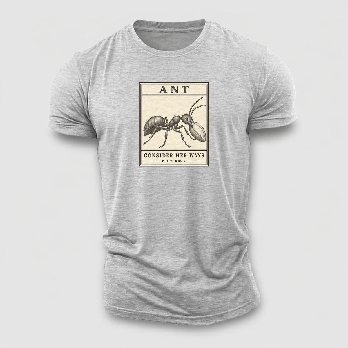 Ant Specimen Plate Creature Canticle Cotton T-Shirt – Sport Grey
