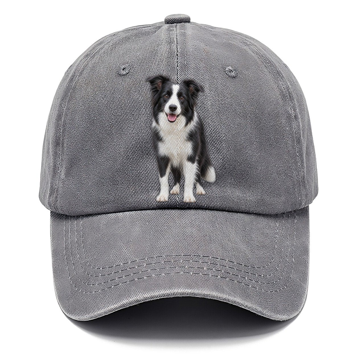 Border Collie Standing Top Breeds Classic Cap – Urban Haze