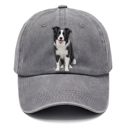Border Collie Standing Top Breeds Classic Cap – Urban Haze