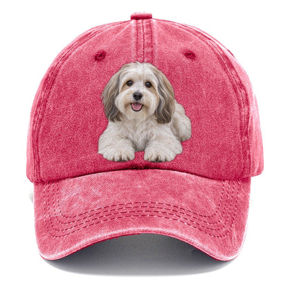 Havanese Lying Down Top Breeds Classic Cap – Pomegranate Blush