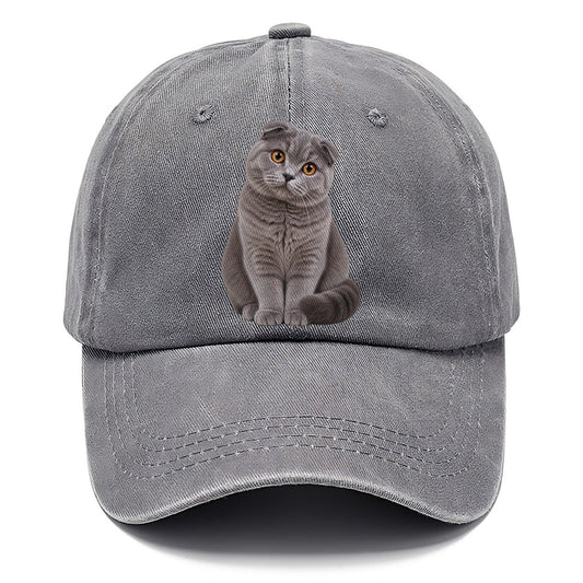 Scottish Fold Seated Portrait Realistic Cat Portrait Classic Cap – Urban Haze