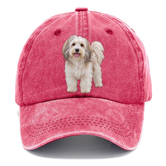 Havanese Standing Top Breeds Classic Cap – Pomegranate Blush