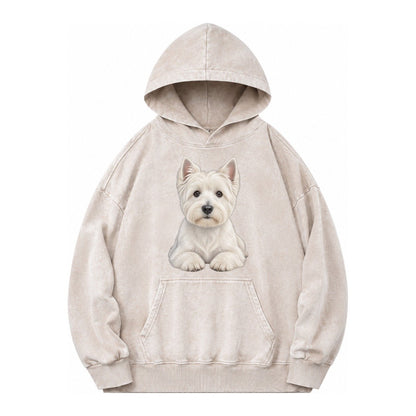 Pickleball Vintage Washed Hoodie – Off White