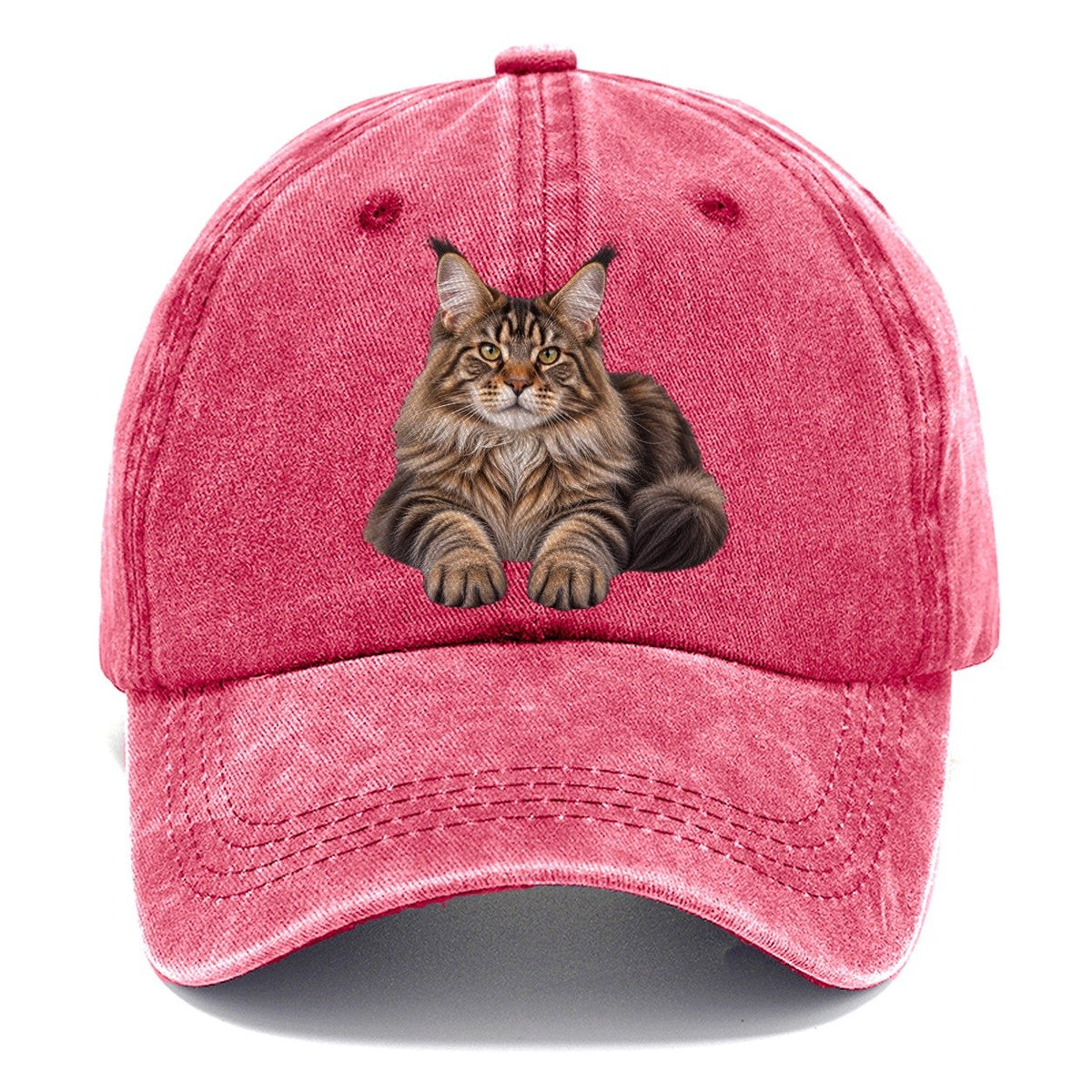 Maine Coon Reclining Paws Forward Realistic Cat Portrait Classic Cap – Pomegranate Blush