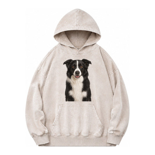 Border Collie Intelligent Companion Vintage Washed Hoodie – Off White