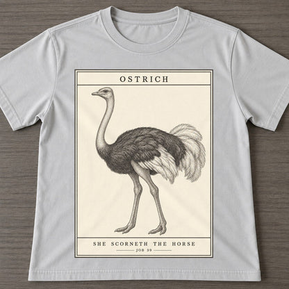 Grey — front view