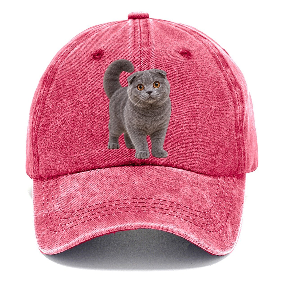 Scottish Fold Standing Three Quarter Realistic Cat Portrait Classic Cap – Pomegranate Blush