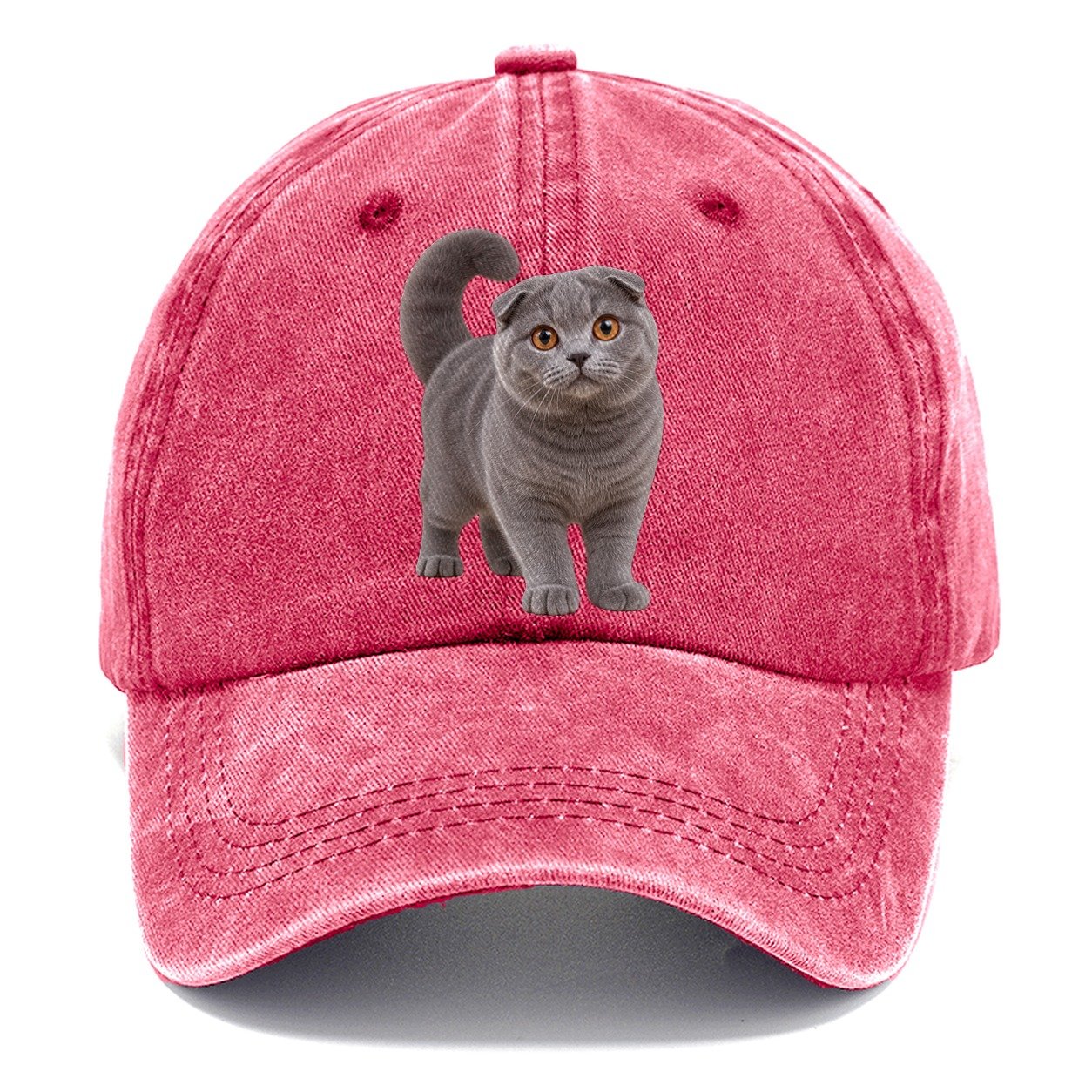 Scottish Fold Standing Three Quarter Realistic Cat Portrait Classic Cap – Pomegranate Blush
