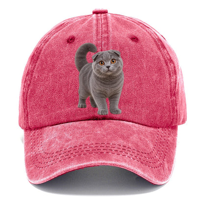 Scottish Fold Standing Three Quarter Realistic Cat Portrait Classic Cap – Pomegranate Blush