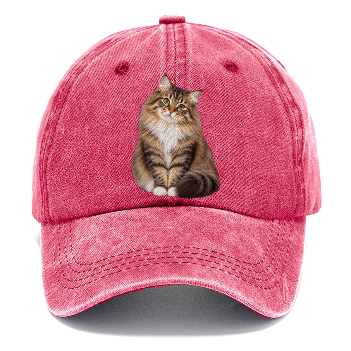 Siberian Seated Portrait Realistic Cat Portrait Classic Cap – Pomegranate Blush