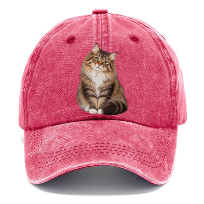 Siberian Seated Portrait Realistic Cat Portrait Classic Cap – Pomegranate Blush