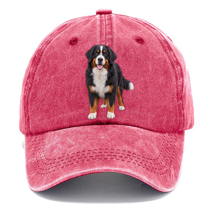 Bernese Mountain Dog Standing Top Breeds Classic Cap – Pomegranate Blush