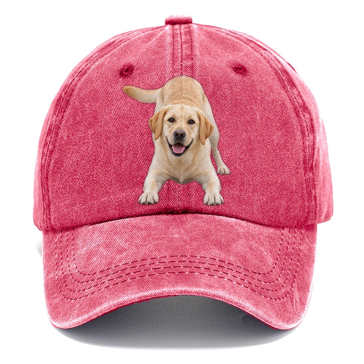 Labrador Retriever Play Bow Top Breeds Classic Cap – Pomegranate Blush