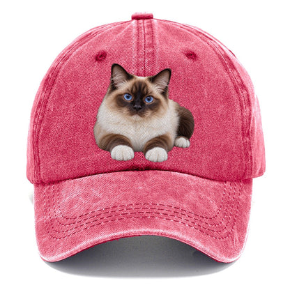 Birman Reclining Paws Forward Realistic Cat Portrait Classic Cap – Pomegranate Blush