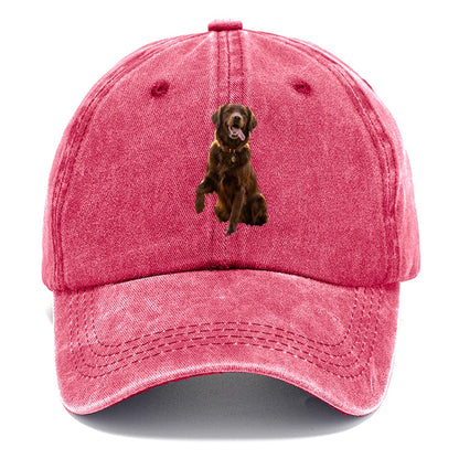 Dark Retriever Classic Cap – Pomegranate Blush