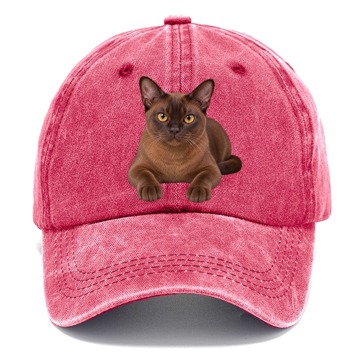 Burmese Reclining Paws Forward Realistic Cat Portrait Classic Cap – Pomegranate Blush