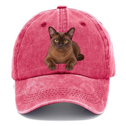 Burmese Reclining Paws Forward Realistic Cat Portrait Classic Cap – Pomegranate Blush