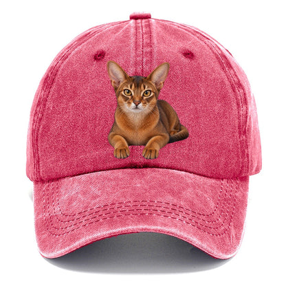 Abyssinian Reclining Paws Forward Realistic Cat Portrait Classic Cap – Pomegranate Blush
