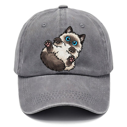 Ragdoll Flopped Peeking Cats Classic Cap – Urban Haze