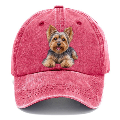 Yorkshire Terrier Lying Down Top Breeds Classic Cap – Pomegranate Blush