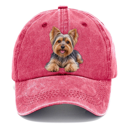 Yorkshire Terrier Lying Down Top Breeds Classic Cap – Pomegranate Blush