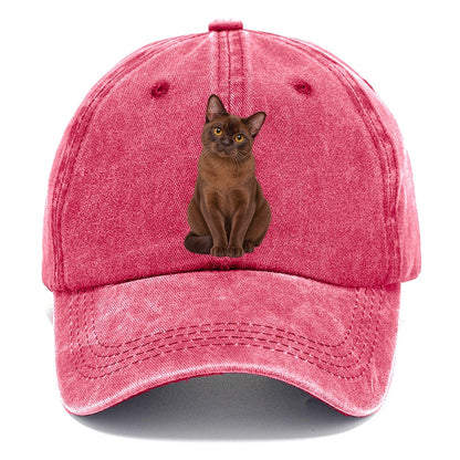 Burmese Seated Portrait Realistic Cat Portrait Classic Cap – Pomegranate Blush