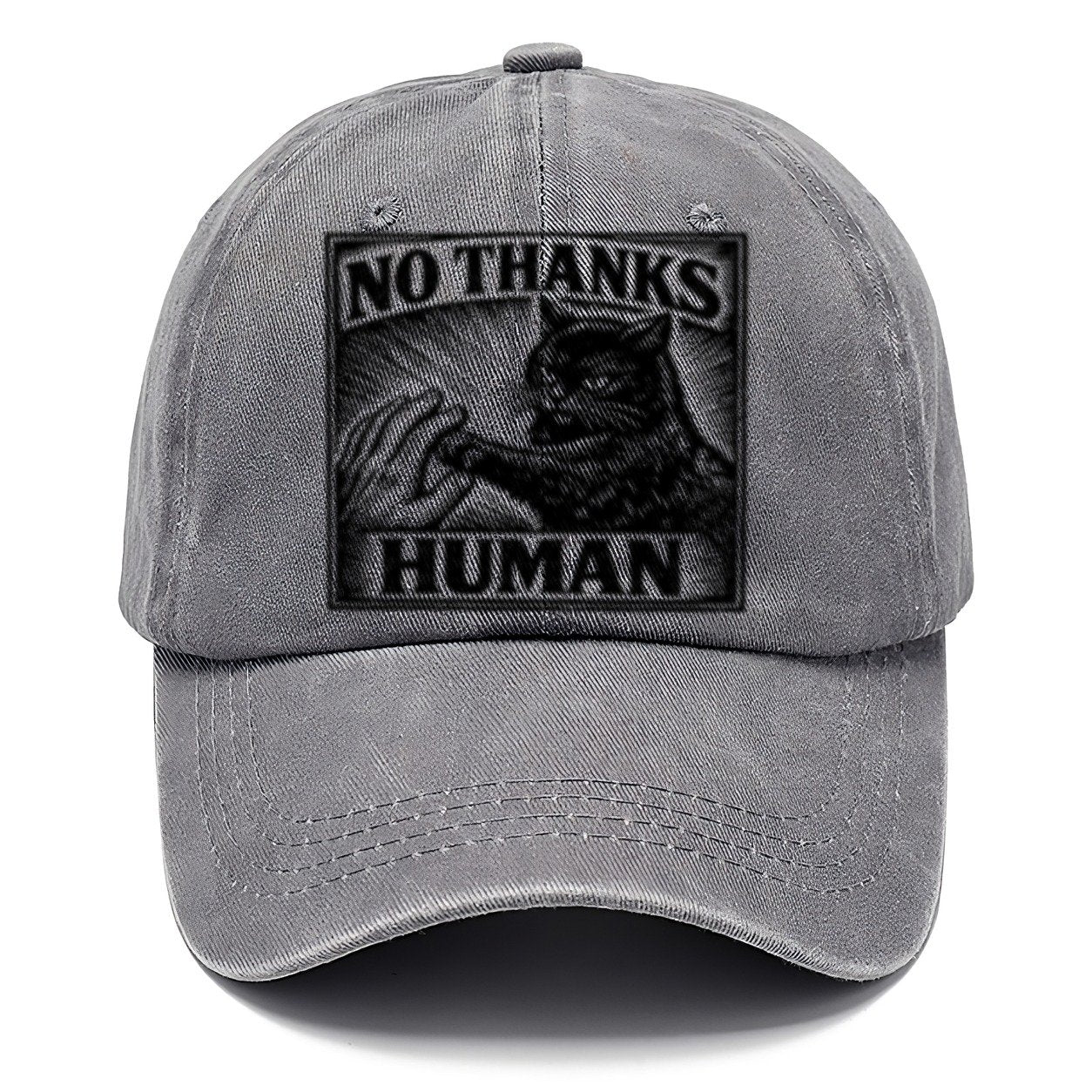 No Thanks Human Classic Cap – Urban Haze