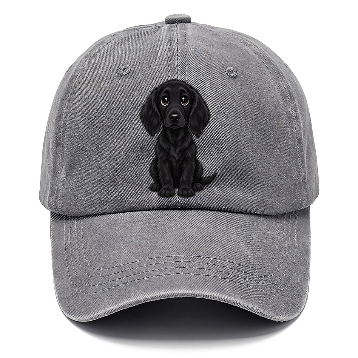 Flat Coated Retriever Sitting Sweetheart Classic Cap – Urban Haze