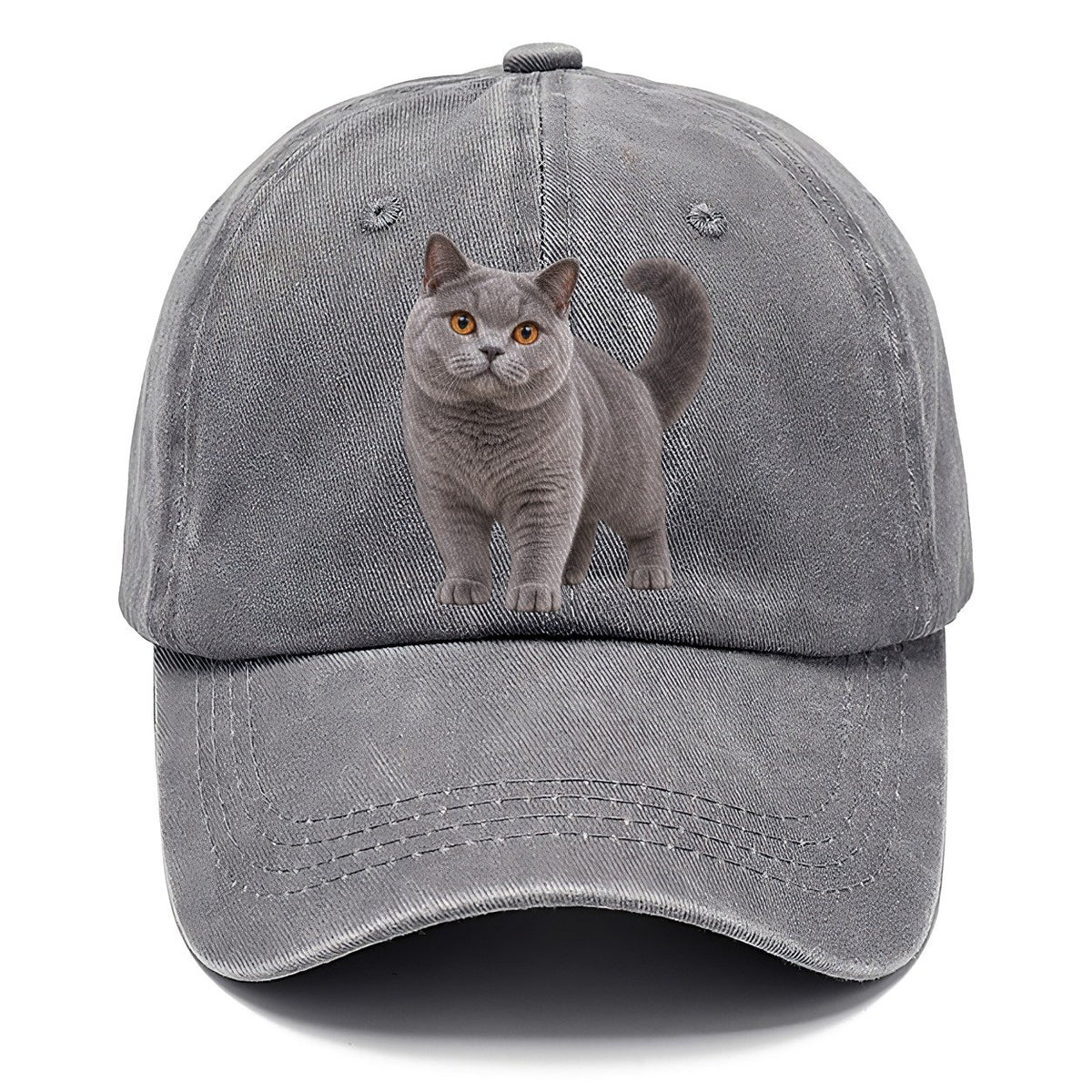 British Shorthair Standing Three Quarter Realistic Cat Portrait Classic Cap – Urban Haze