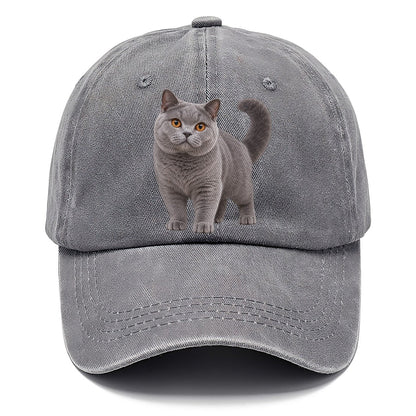 British Shorthair Standing Three Quarter Realistic Cat Portrait Classic Cap – Urban Haze