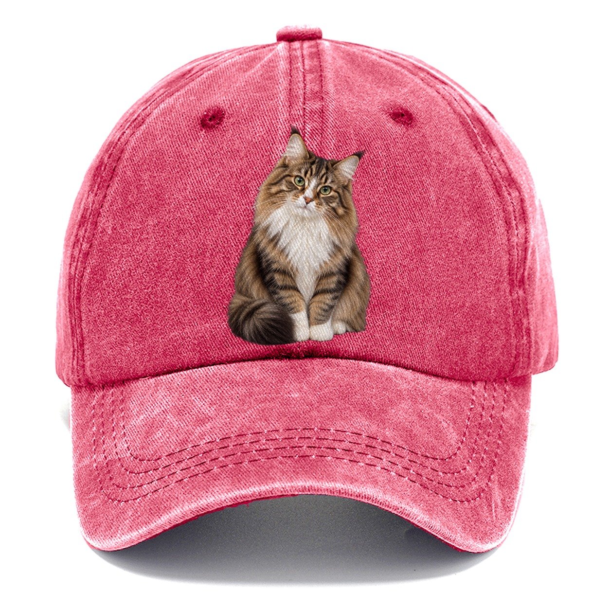 Norwegian Forest Cat Seated Portrait Realistic Cat Portrait Classic Cap – Pomegranate Blush