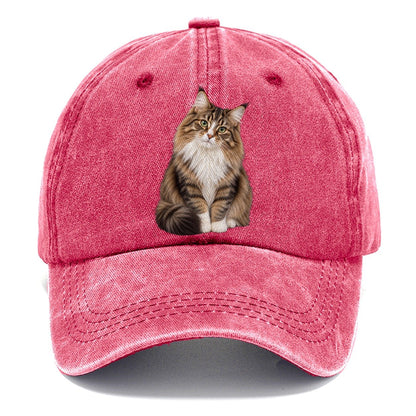 Norwegian Forest Cat Seated Portrait Realistic Cat Portrait Classic Cap – Pomegranate Blush