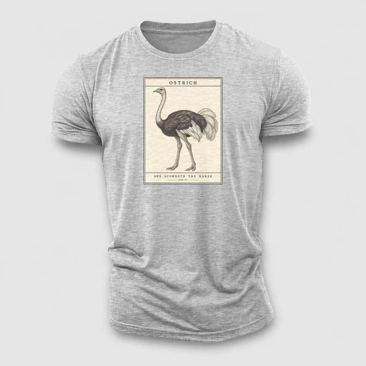 Ostrich Specimen Plate Creature Canticle Cotton T-Shirt – Sport Grey