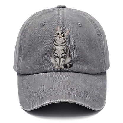 American Shorthair Seated Portrait Realistic Cat Portrait Classic Cap – Urban Haze