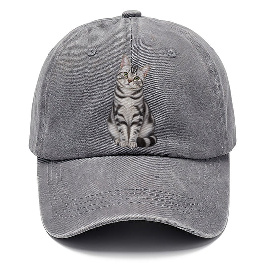 American Shorthair Seated Portrait Realistic Cat Portrait Classic Cap – Urban Haze