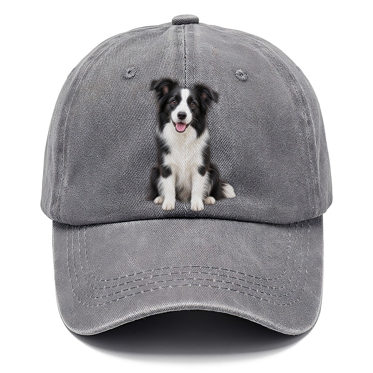 Border Collie Sitting Top Breeds Classic Cap – Urban Haze