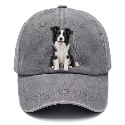 Border Collie Sitting Top Breeds Classic Cap – Urban Haze
