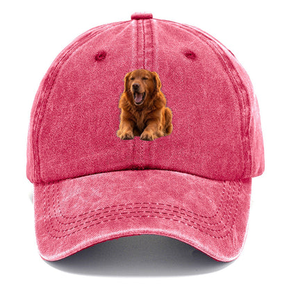 Golden Retriever Yawn Classic Cap – Pomegranate Blush