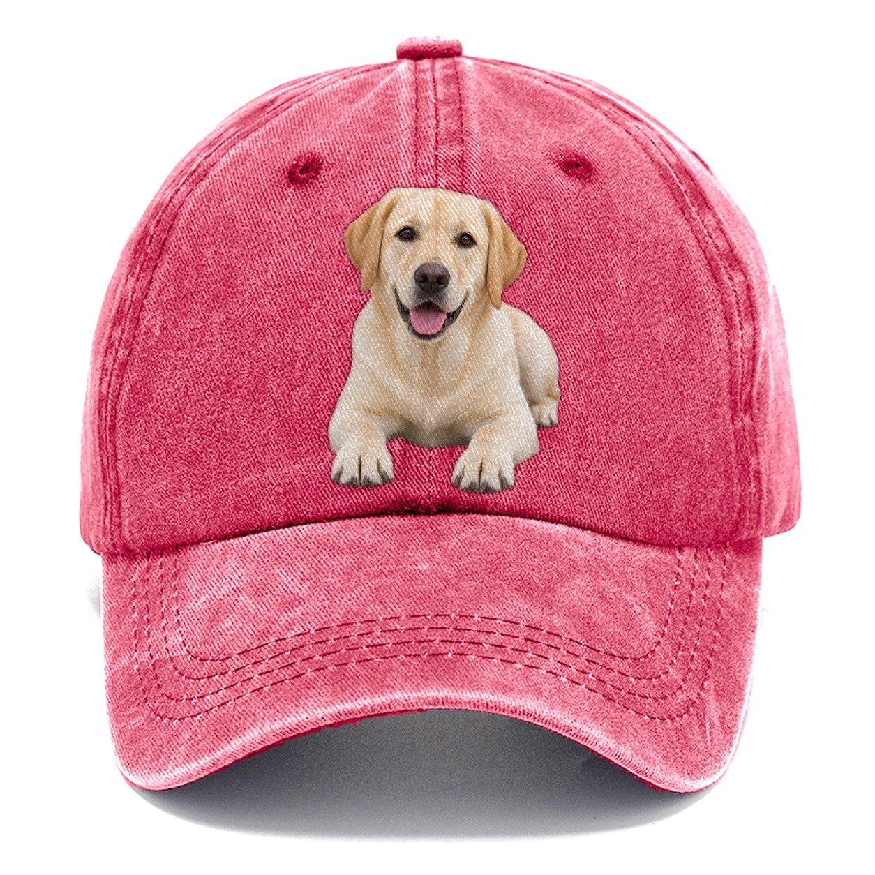 Labrador Retriever Lying Down Top Breeds Classic Cap – Pomegranate Blush