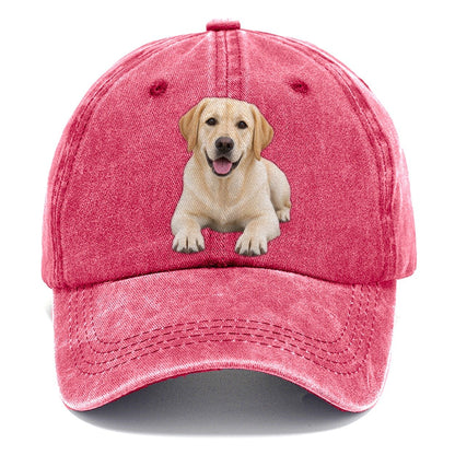 Labrador Retriever Lying Down Top Breeds Classic Cap – Pomegranate Blush