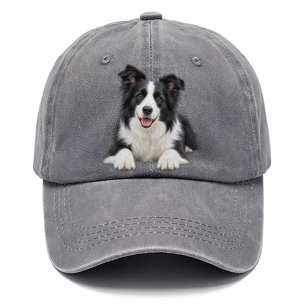Border Collie Lying Down Top Breeds Classic Cap – Urban Haze