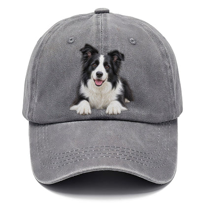 Border Collie Lying Down Top Breeds Classic Cap – Urban Haze