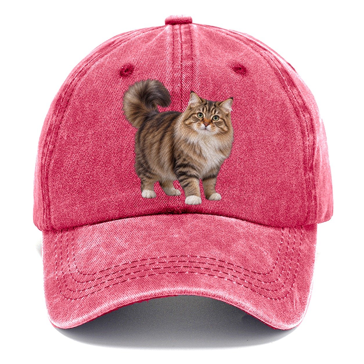 Siberian Standing Three Quarter Realistic Cat Portrait Classic Cap – Pomegranate Blush