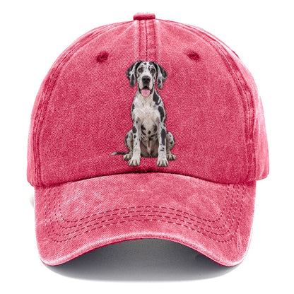 Great Dane Sitting Top Breeds Classic Cap – Pomegranate Blush