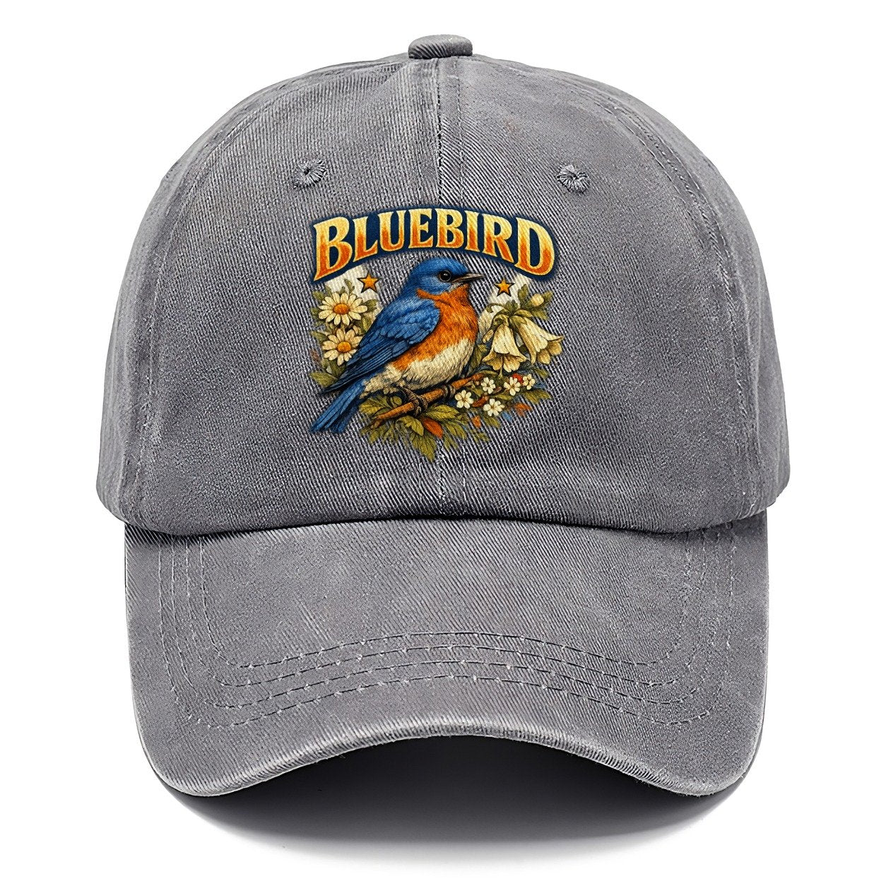 Bluebird Classic Cap – Urban Haze