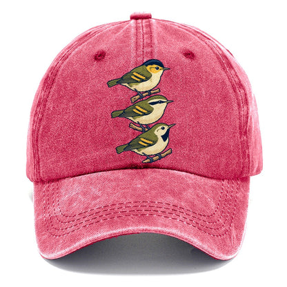 Woodland Warbler Set Birdwatching Classic Cap – Pomegranate Blush
