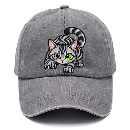 Silver Tabby Stalking Peeking Cats Classic Cap – Urban Haze