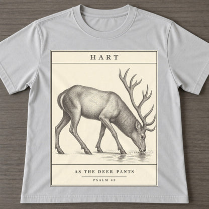 Grey — front view