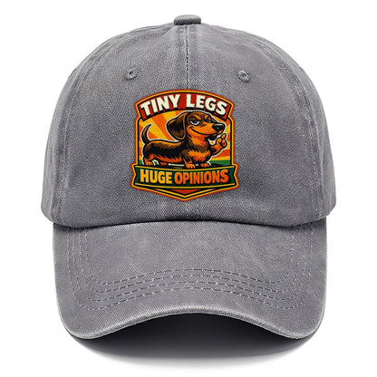Tiny Legs Huge Opinions Dachshund Classic Cap – Urban Haze